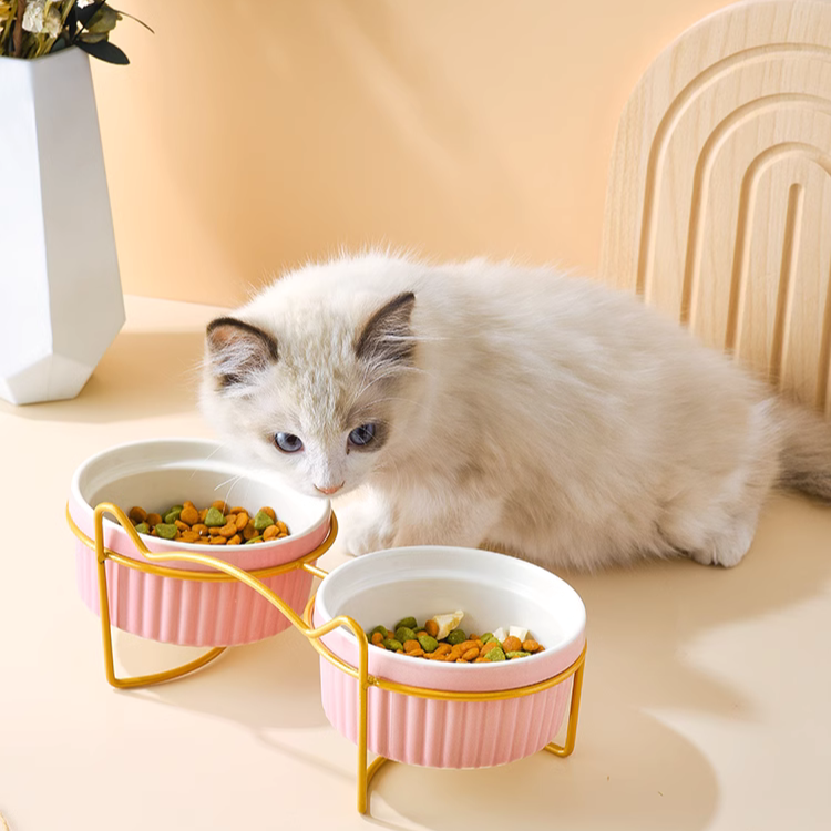 猫耳デザインフェミニンペットフードボウル