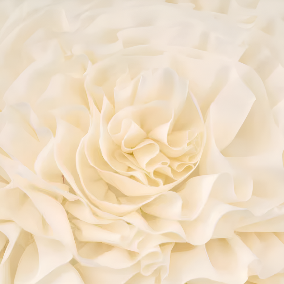 ペタルスクイッシュクッション