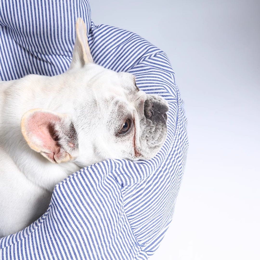 2way ドライブベッド