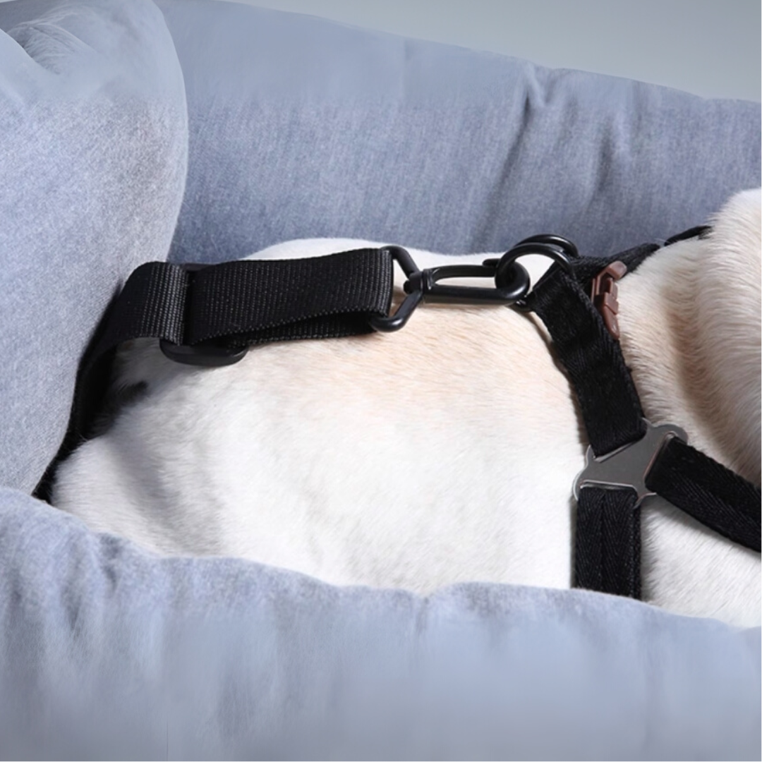 2way ドライブベッド