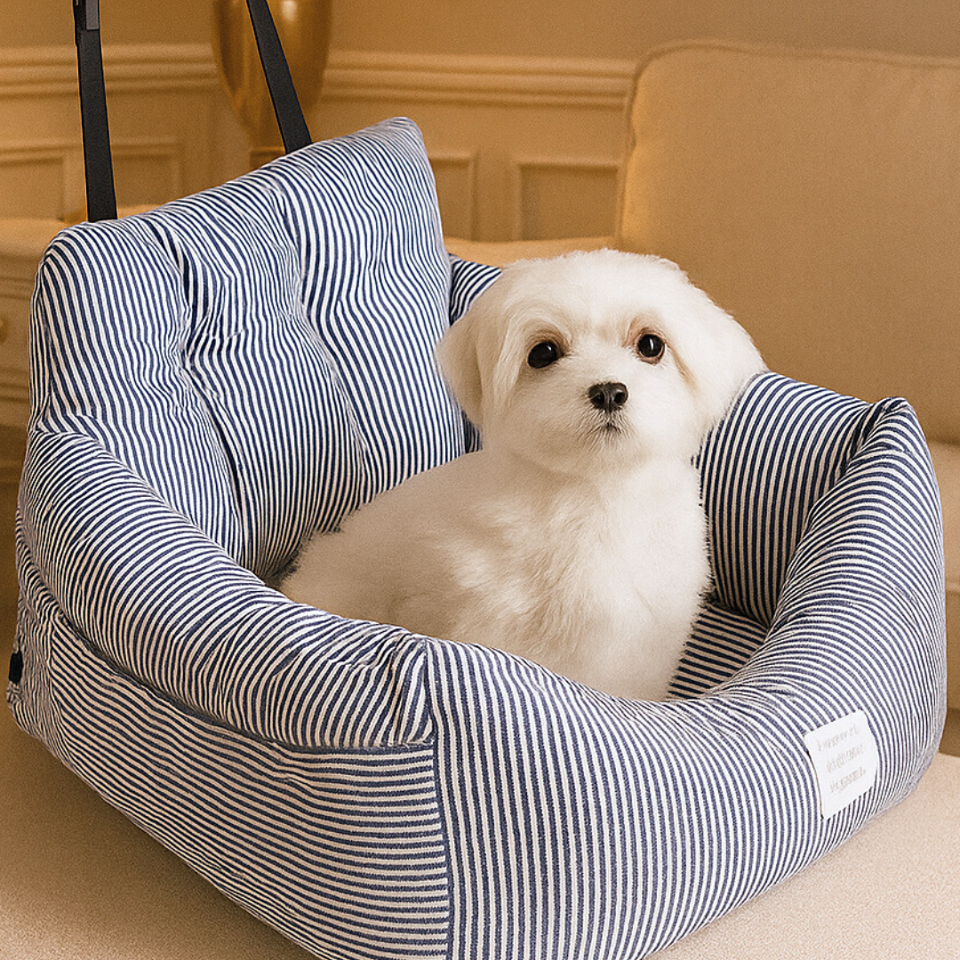 2way ドライブベッド