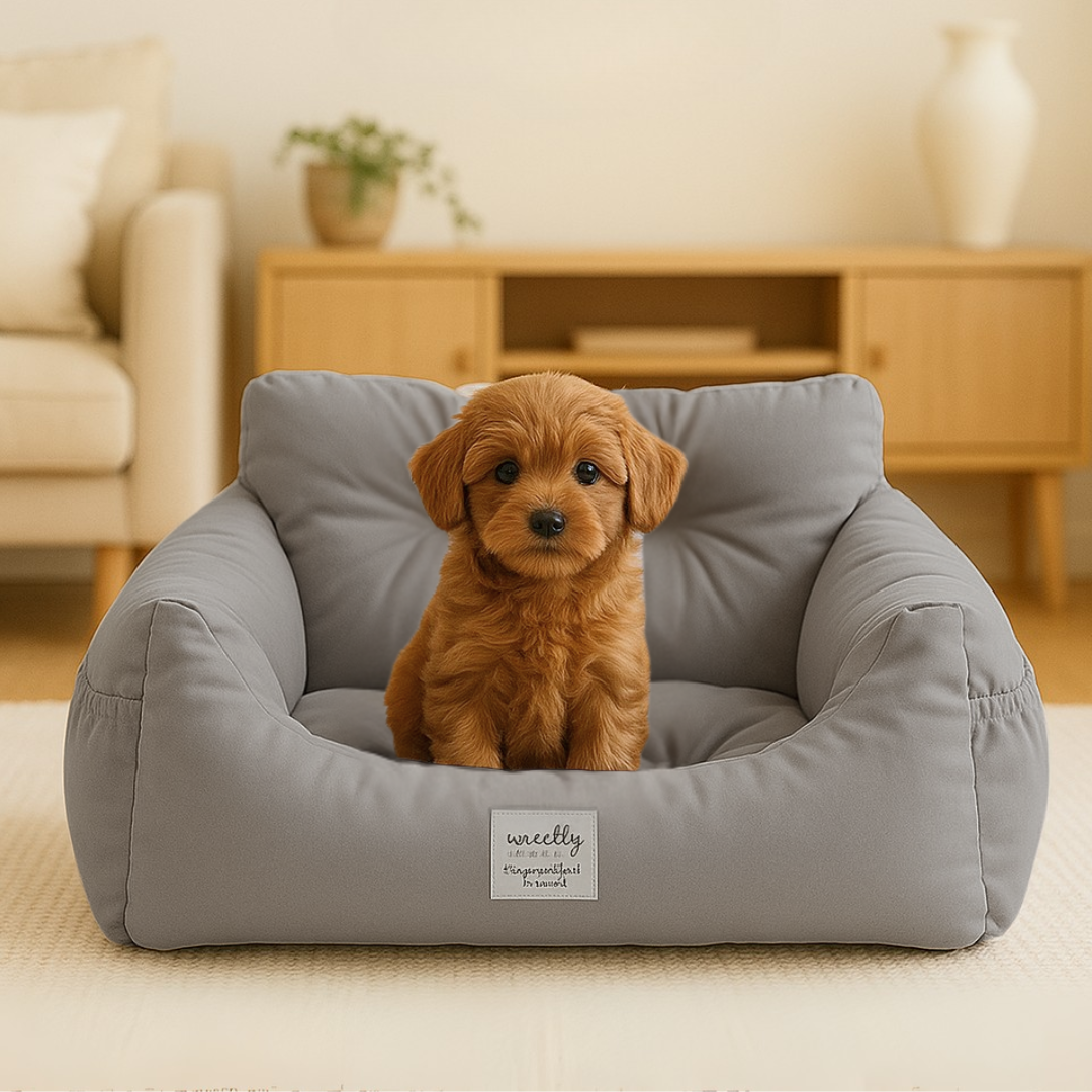 2way ドライブベッド