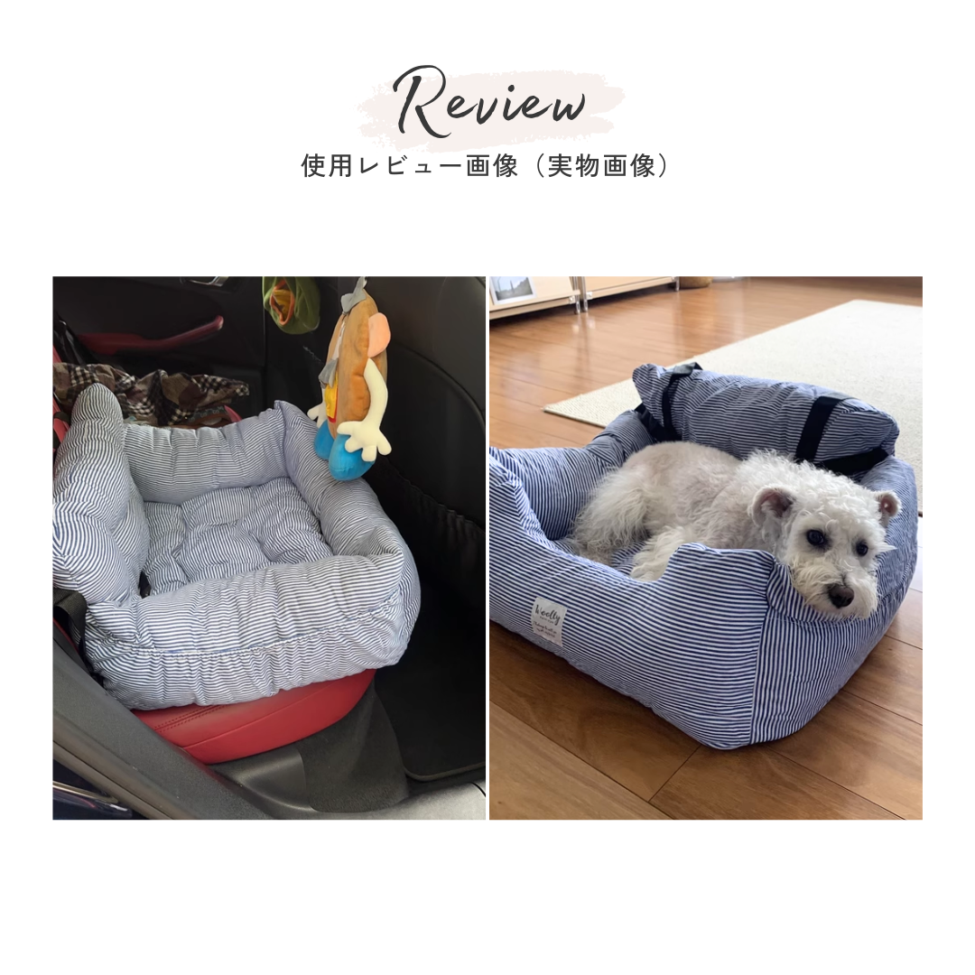 2way ドライブベッド