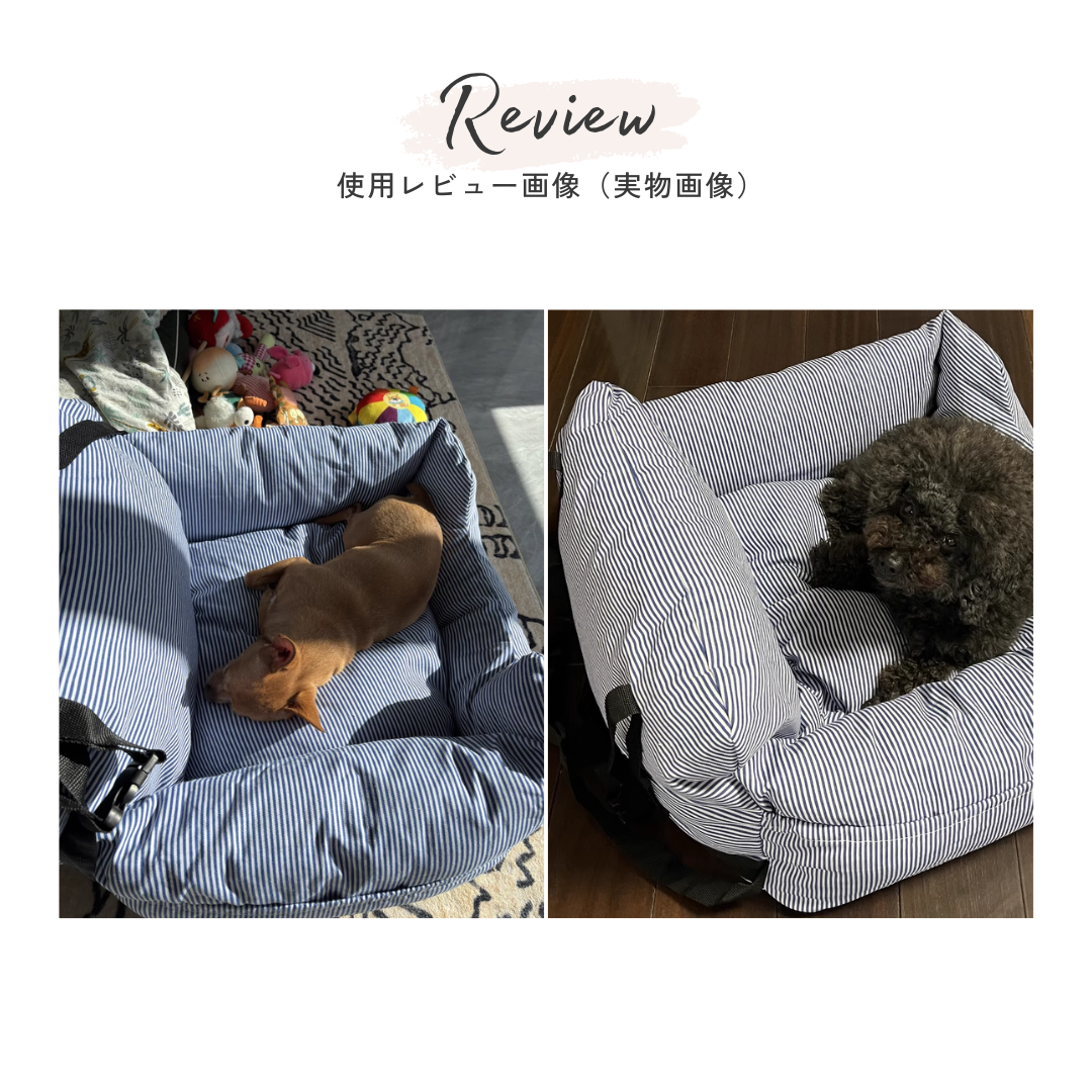 2way ドライブベッド