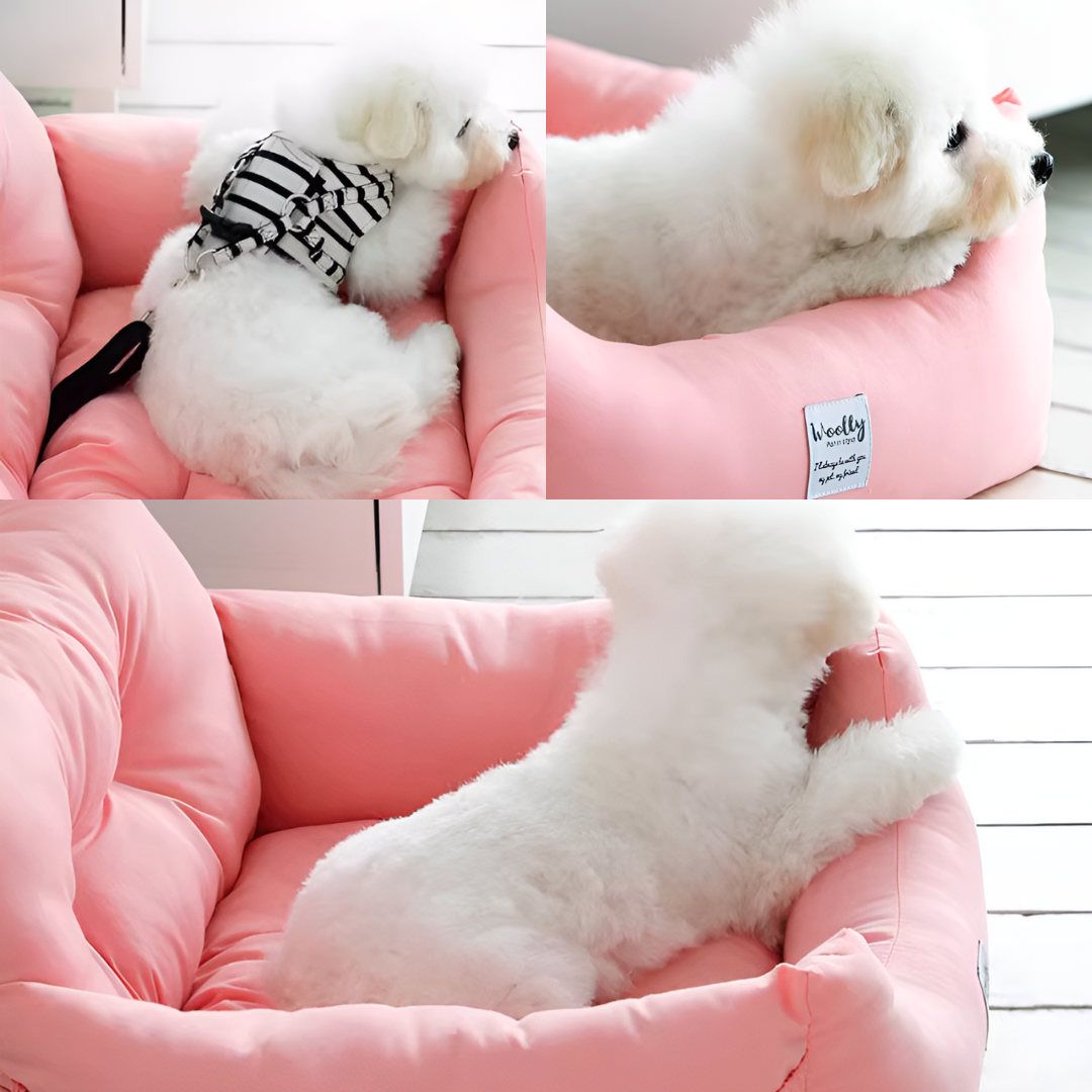 2way ドライブベッド