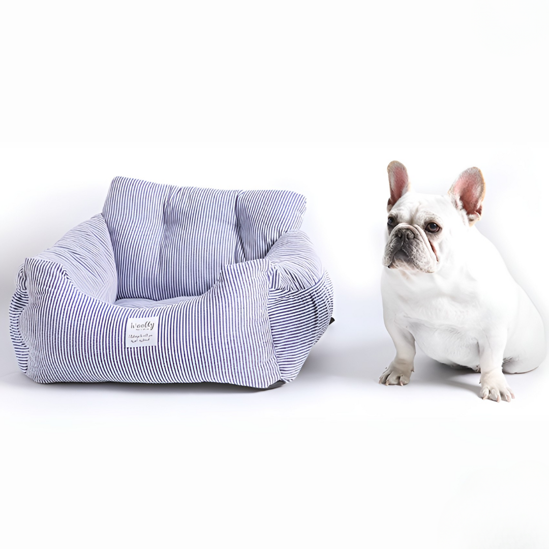 2way ドライブベッド