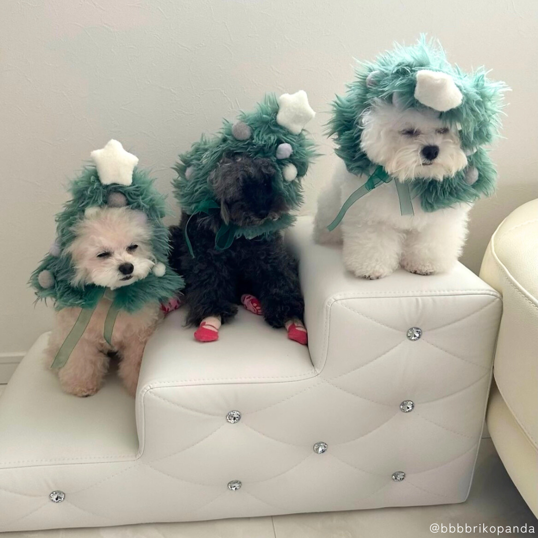 ラグジュアリー ドッグステップ（2段）