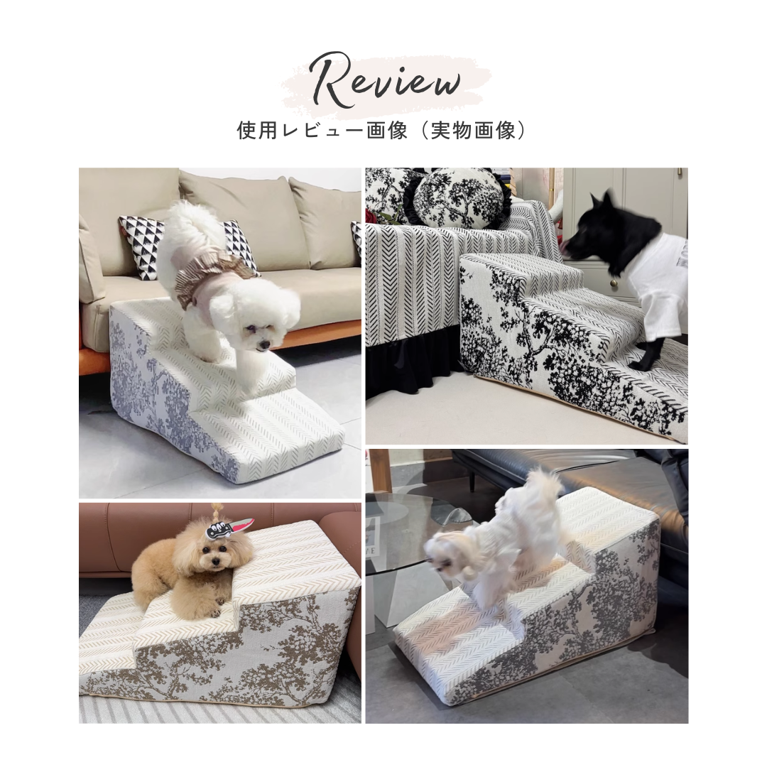 モダンコンフォートドッグステップ