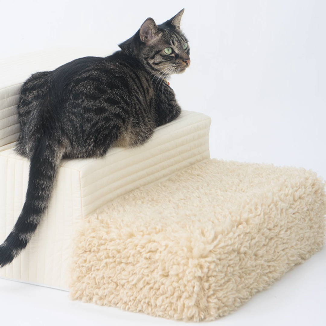 ナチュラルボアドッグステップ