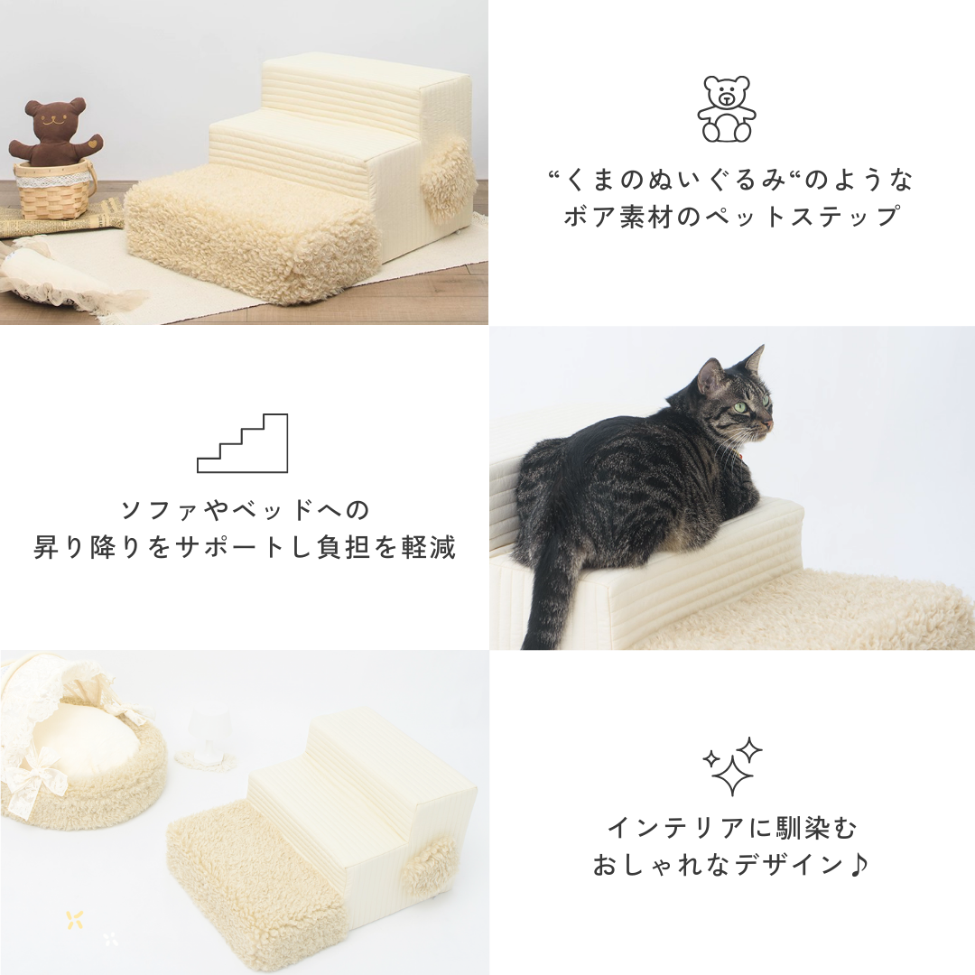 ナチュラルボアドッグステップ