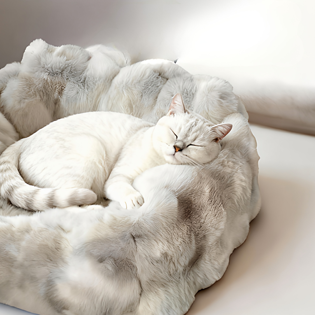 【早割対象】グレージュウォームペットベッド