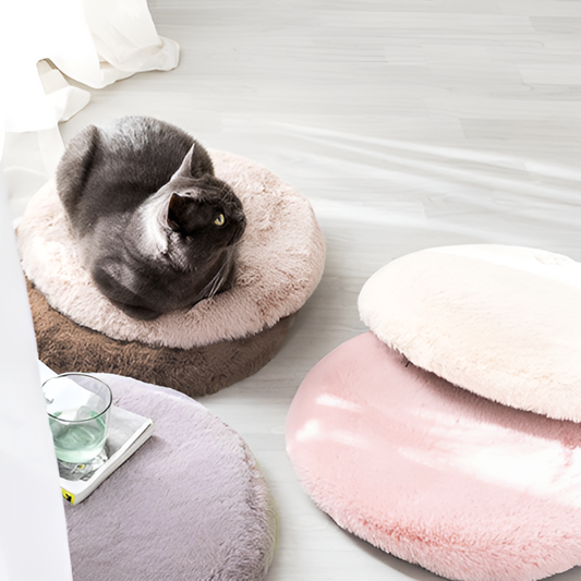 【即納商品】サークルファークッション