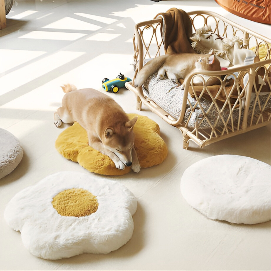 【即納商品】サークルファークッション