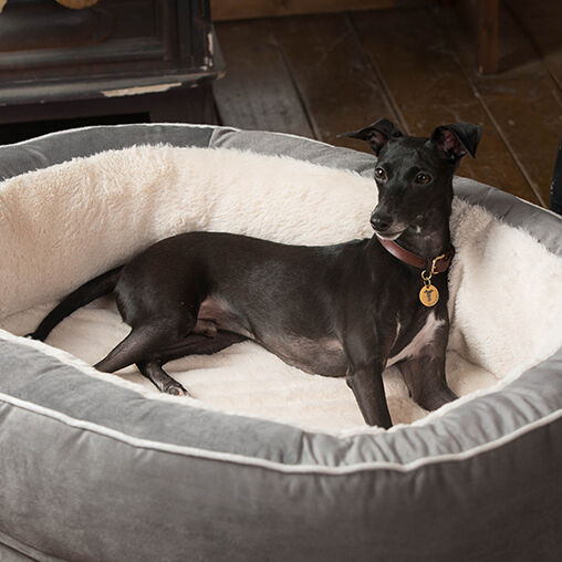 プレミアム ラウンドベッド