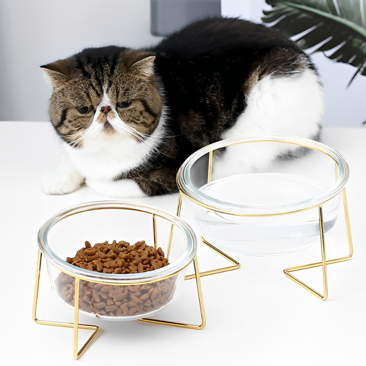 クリアガラスペットフードボウル
