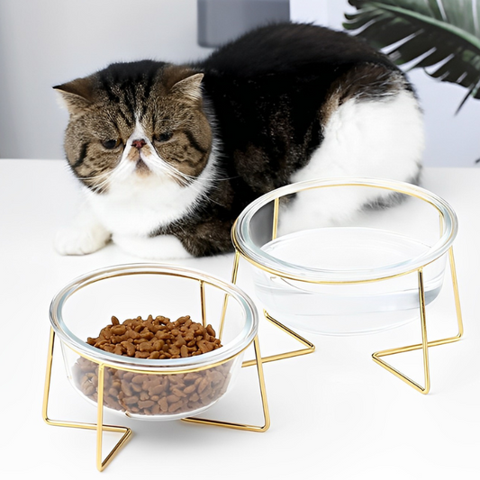 クリアガラスペットフードボウル