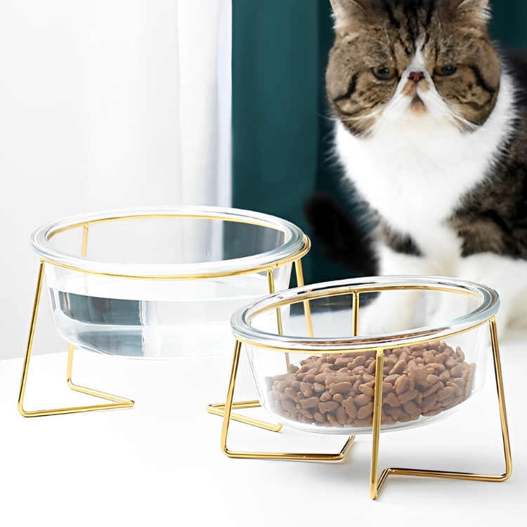 クリアガラスペットフードボウル