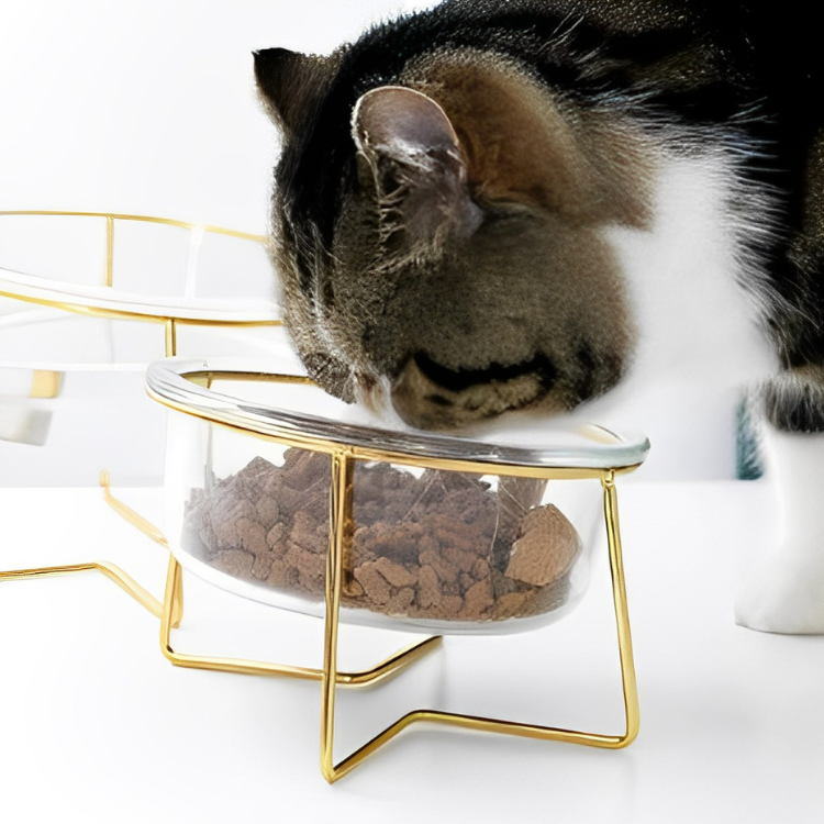 クリアガラスペットフードボウル