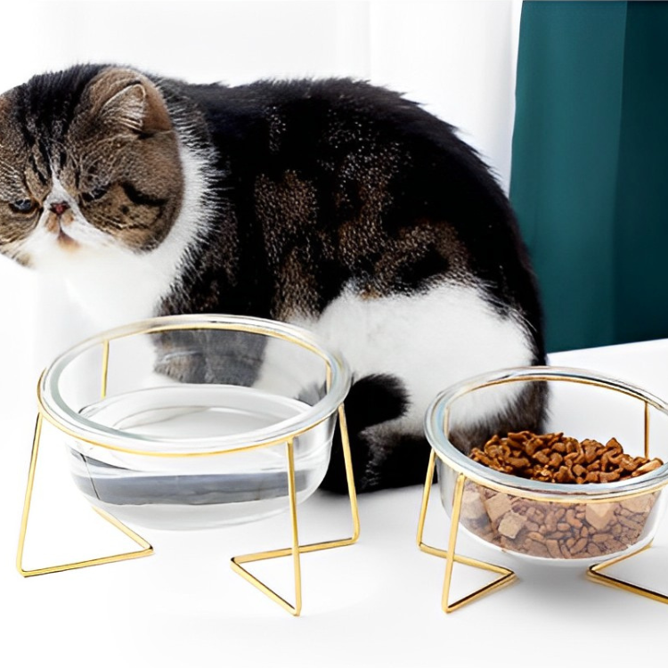 クリアガラスペットフードボウル