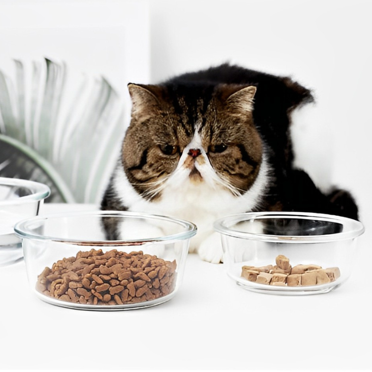 クリアガラスペットフードボウル