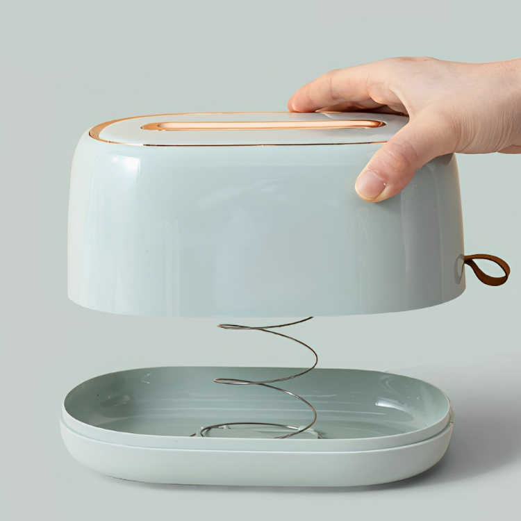 フェミニンティッシュボックス