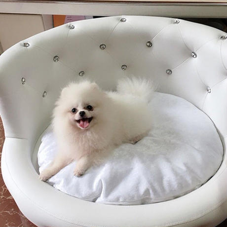 ビジュー付きプレミアムペットベッド（3カラー）